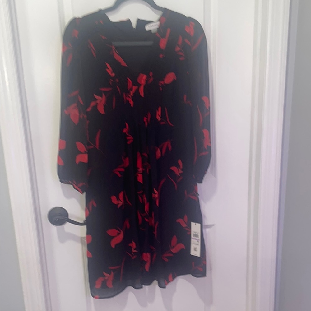 Calvin Klein Black and Red Floral Dress